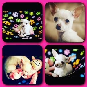 Meet your Posher, Emily